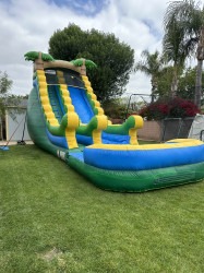 20ft Tropical Water Slide