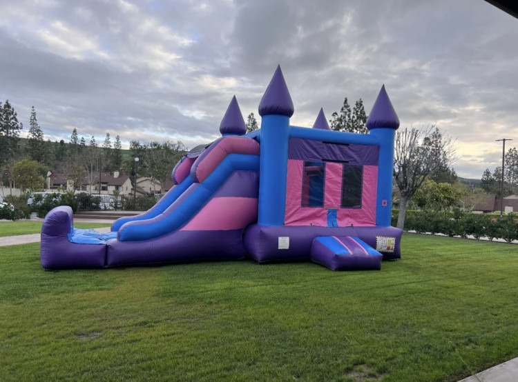 3-1 Large PURPLE DREAM CASTLE wet or Dry