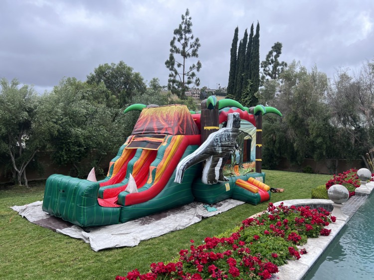 3-1 Large DINO JUMPER